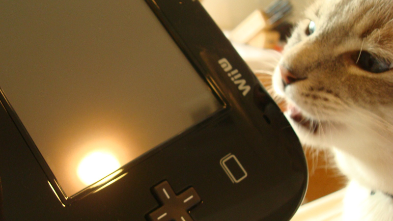 Illustration for article titled Step Aside, Jessica Chobot Licking A PSP. There's A New Scandalous Picture, And It Involves The Wii U.